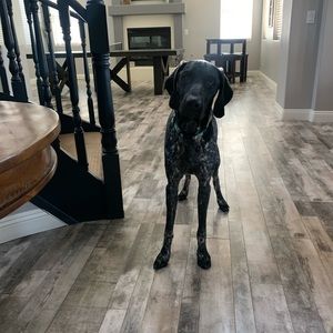 Meet your Posher, Reese